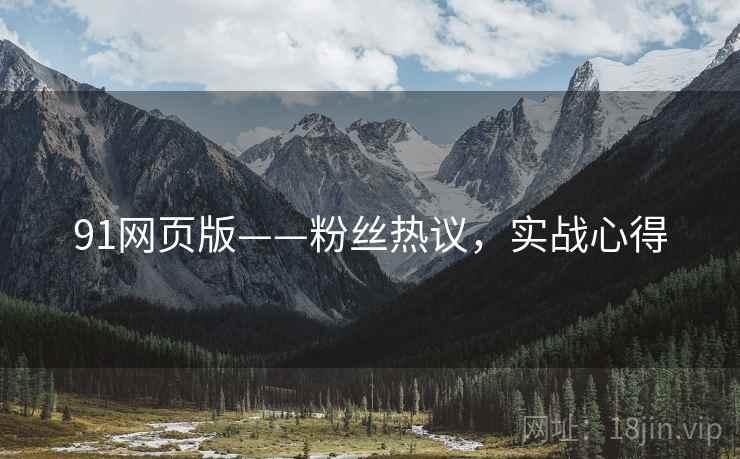 91网页版——粉丝热议，实战心得