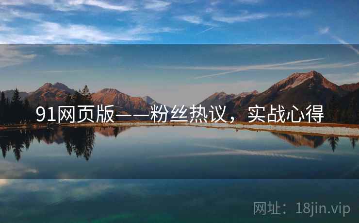 91网页版——粉丝热议，实战心得