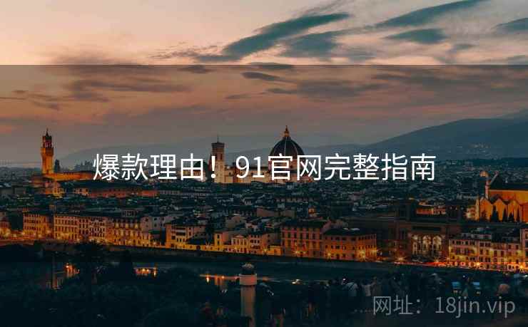 爆款理由！91官网完整指南