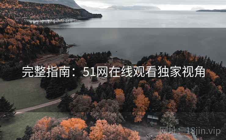 完整指南：51网在线观看独家视角