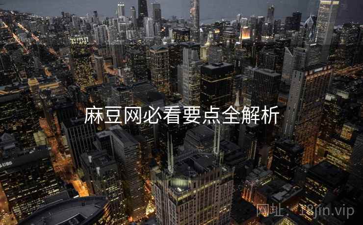 麻豆网必看要点全解析