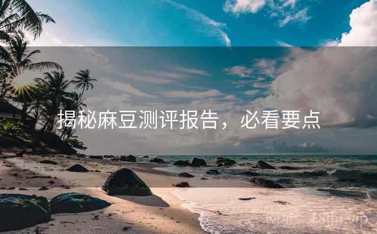 揭秘麻豆测评报告，必看要点