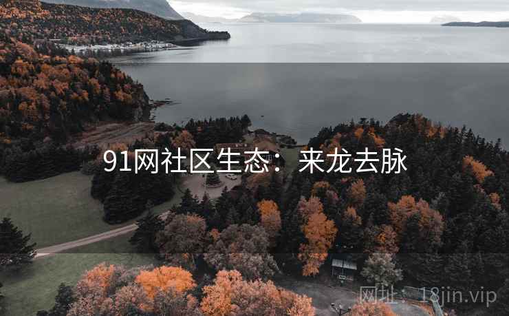 91网社区生态：来龙去脉