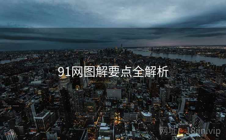 91网图解要点全解析
