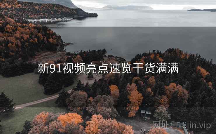 新91视频亮点速览干货满满