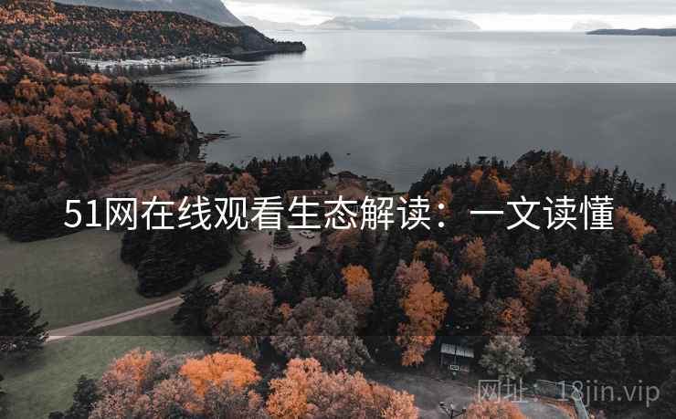 51网在线观看生态解读：一文读懂