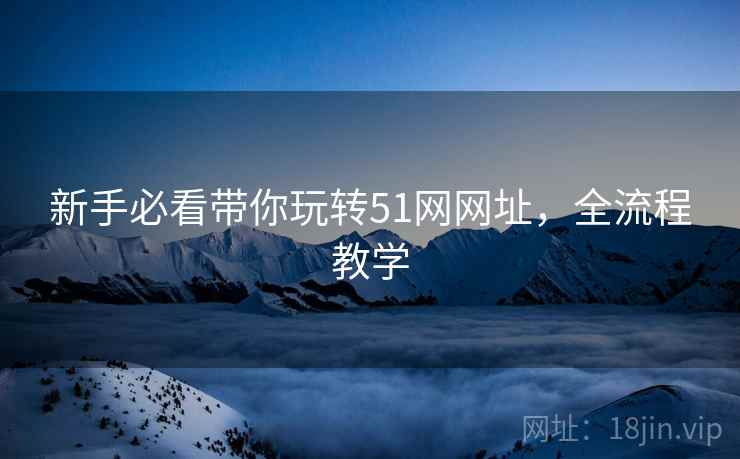新手必看带你玩转51网网址，全流程教学