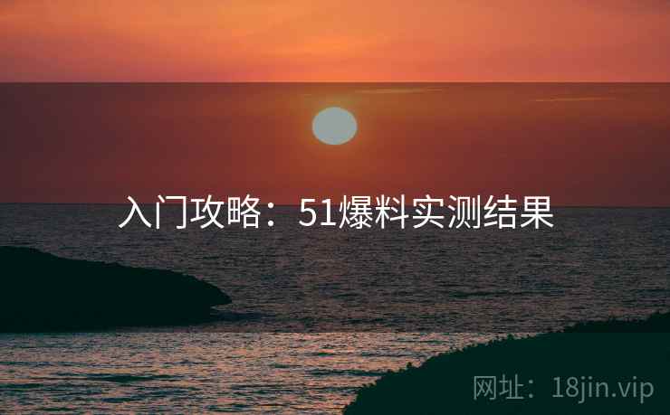 入门攻略：51爆料实测结果