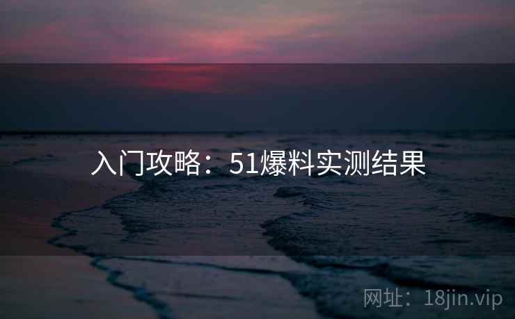 入门攻略：51爆料实测结果