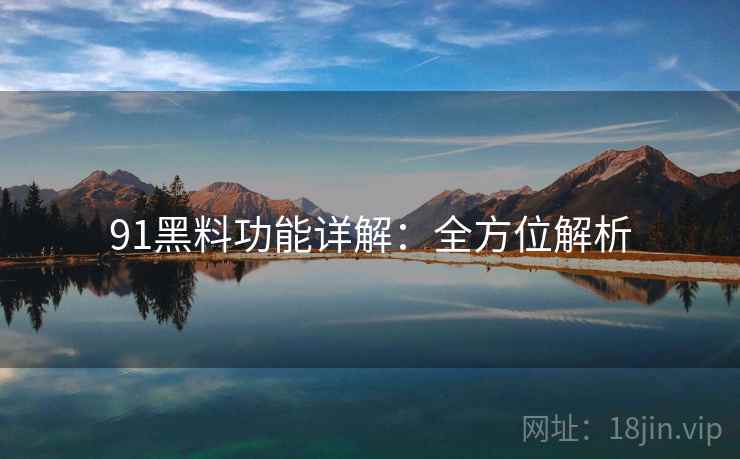 91黑料功能详解：全方位解析